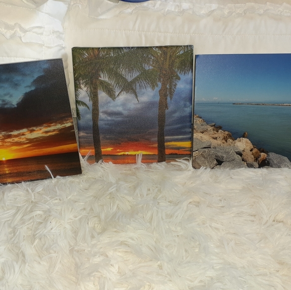 3 Palm Tree Paintings on canvas and foam - Picture 11 of 12